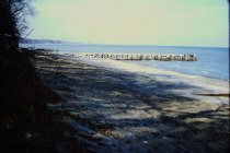 View north along the beach